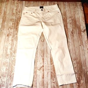 anthropologies Civilianaire jeans